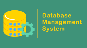 Database Management System